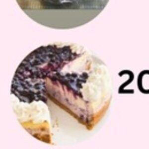 Blueberry Cheesecake Slice